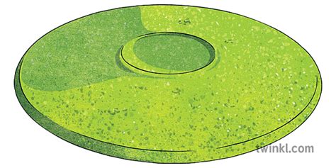 What is a Fling Throw? - Discus Throw Technique - Twinkl