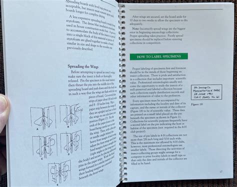 INSECT IDENTIFICATION GUIDE With PICTORIAL KEYS/Diagrams/LIFE CYCLES/More L@@K! | #4596492096 - cycle of keys