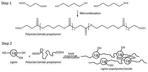 Preparation and Characterization of Biobased Lignin-Co-Polyester/Amide ...