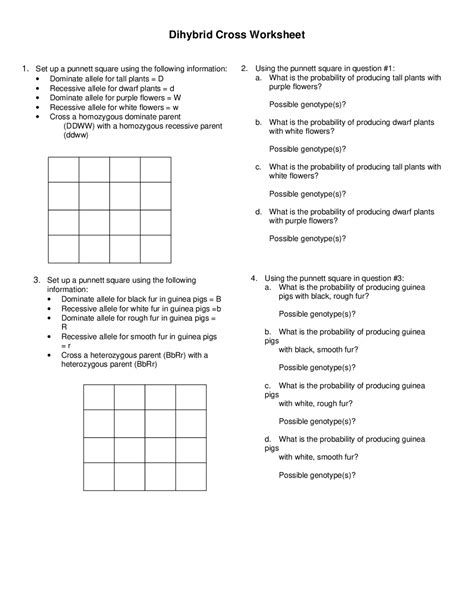 Dihybrid Cross Problems Worksheet: Practice Genetics with Confidence