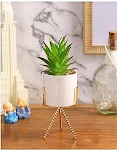 Buy Decoworld Green and White Solid Artificial Succulent Plant with Pot ...