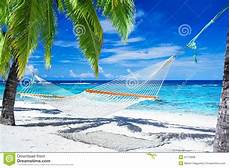 amaca travel hammock between palm trees on tropical royalty free amaca travel hammock between palm trees on tropical royalty free