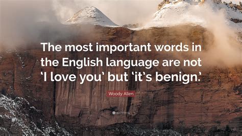 Woody Allen Quote: “The most important words in the English language ...