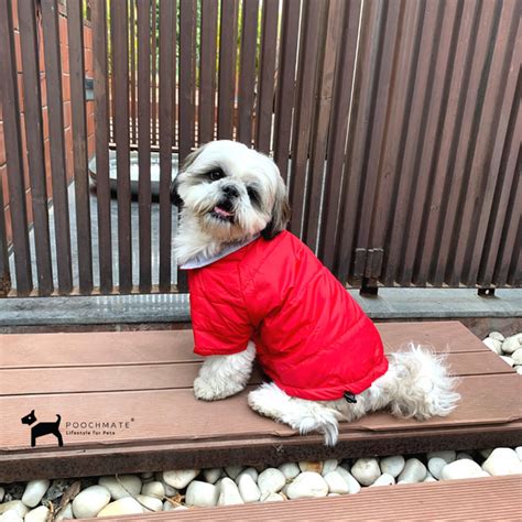 Dog Quilted Coats Online India |PoochMate Bexley Quilted Coat - Red