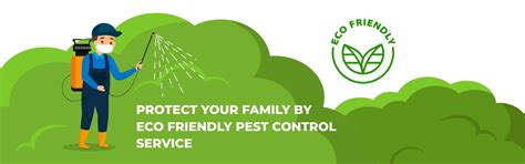 Residential pest control services in Chennai |Commercial pest control ...