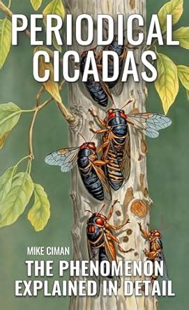 Periodical Cicadas - The Phenomenon Explained In Detail eBook : Mike ...