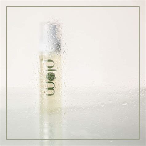 Buy Green Tea Revitalizing Face Mist Spray Online | Plum Goodness