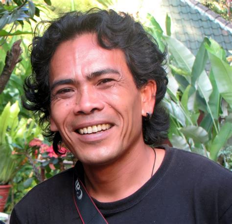 Image result for Eastern Java Bali Rain Forest