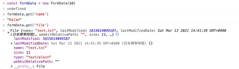 Form Data JavaScript 的图像结果