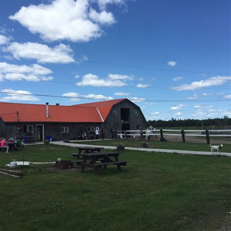 WAGONWHEEL RANCH (2026) All You Need to Know BEFORE You Go (with Photos ...