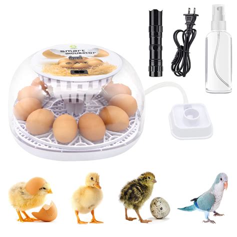 Buy Chicken Incubators for Hatching Eggs, Egg Incubator with Automatic ...