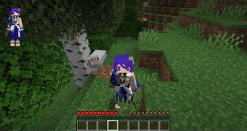 Image result for Minecraft Anime Texture Packs 1.17.1 Java