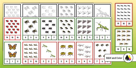 Insects and Bugs Counting to 20 Clip Cards