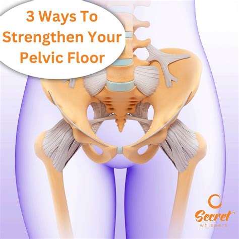 3 Ways To Strengthen Your Pelvic Floor | Secret Whispers