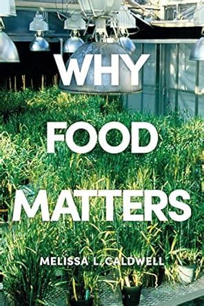 Buy Why Food Matters: Critical Debates in Food Studies Book Online at ...
