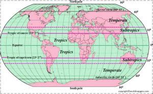 Equator 的图像结果