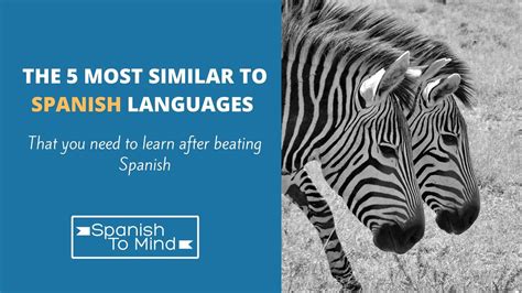 The 5 Most Similar To Spanish Languages To Learn After beating Spanish