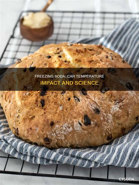 Freezing Soda: Car Temperature Impact And Science | CySoda