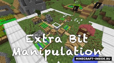 Image result for Extra Bit Manipulation Mod