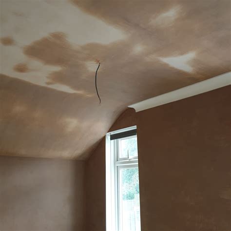 Plaster 的图像结果