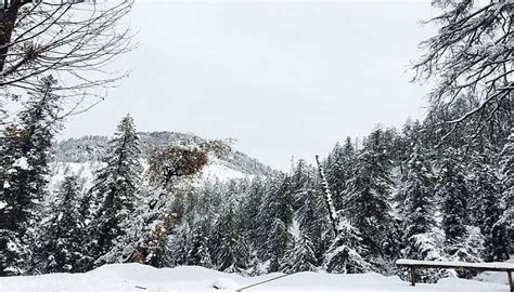 Snowfall Season In Shimla In 2026: Weather, Places, Travel Tips