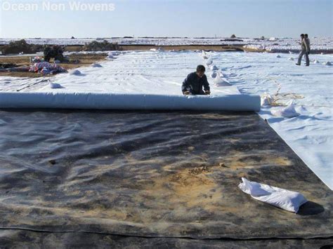 Hdpe Geomembrane Canal Liner Manufacturer, Supplier from Delhi