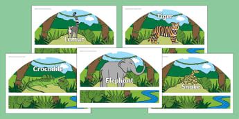 A Walk Through the Jungle - Story Book KS1 - Twinkl