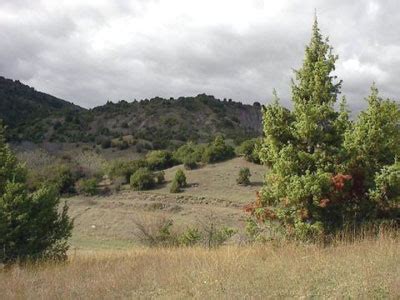 Grundstücke - Acker - Forst - See Kleinanzeigen