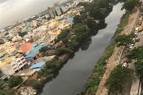 Demolition drive: 383 structures cleared from Cooum banks
