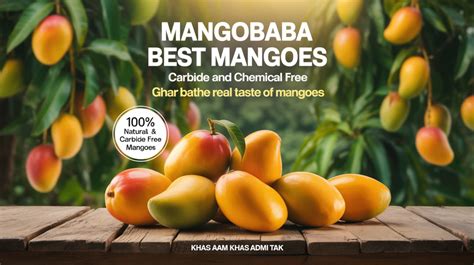 Mangobaba