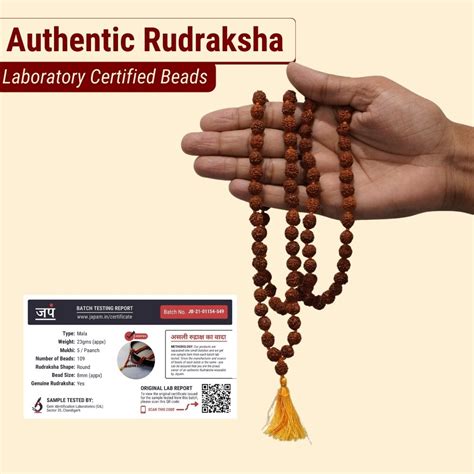 Brown Rudraksha Mala - 108+1 Beads – Japam