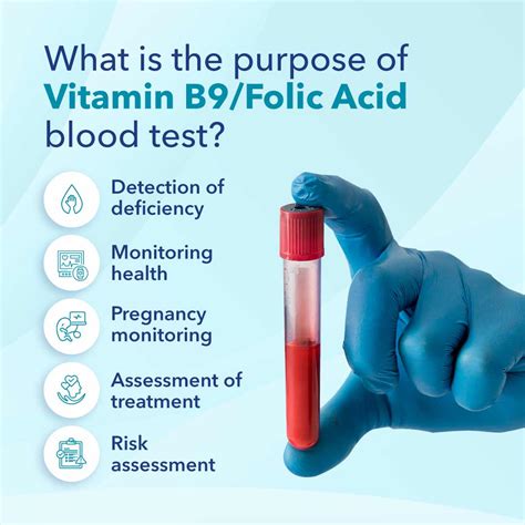 Book Vitamin B9/Folic Acid Test in Delhi at 60 % off on price