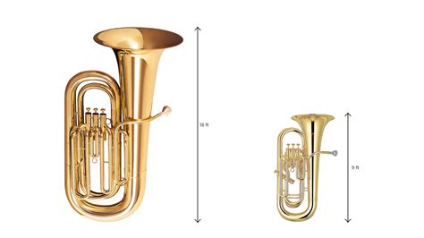 Battle of the Brass: Tuba vs Euphonium - Which Reigns Supreme ...