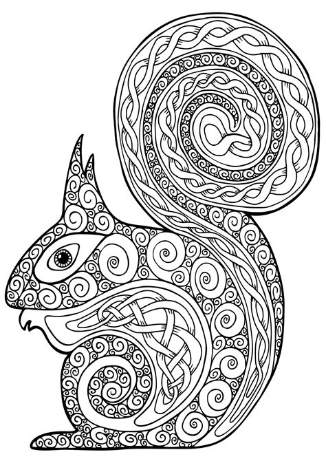 Cute Squirrel Coloring Page Printable