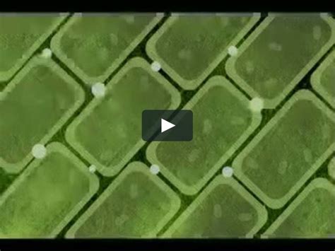 Biology Plants 的图像结果