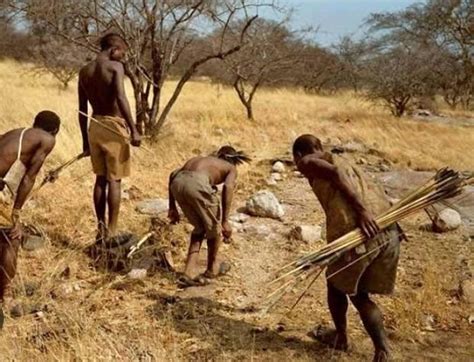 Revolutionary changes where only brought by the introduction of iron in ...