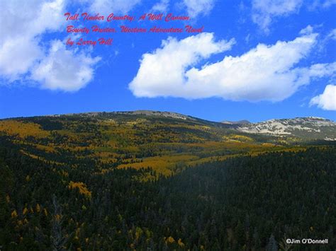Tall Timber Country: A Will Cannon, Bounty Hunter, Western Adventure ...