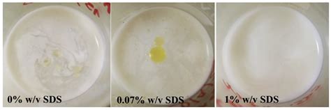Formulation of Sustainable Biopolymer-Based Nanoparticles Obtained via ...