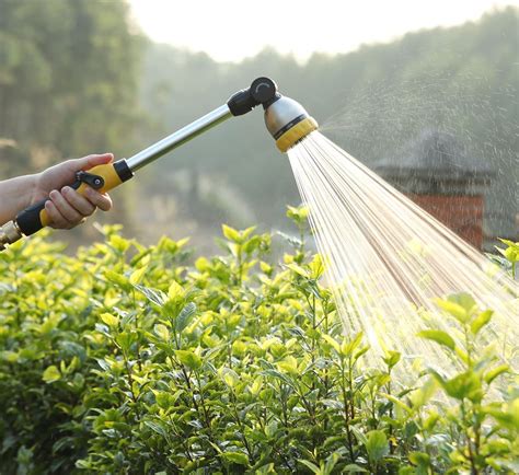 WATERING WANDS – FANHAO