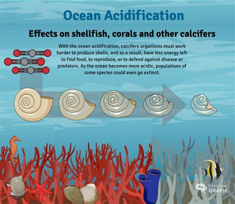 Acidification of Water Bodies | IAS GYAN