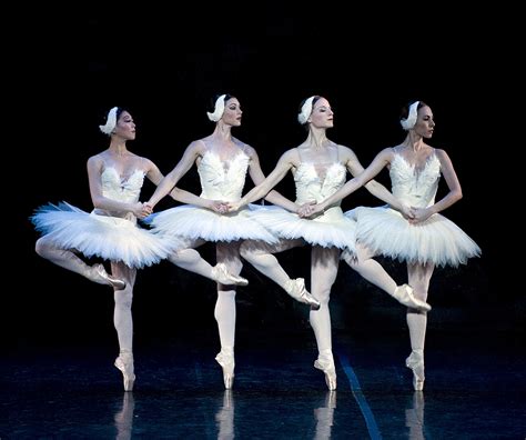 Swan Lake, Gene Schiavone | Dance photography, Ballet photography, Swan ...