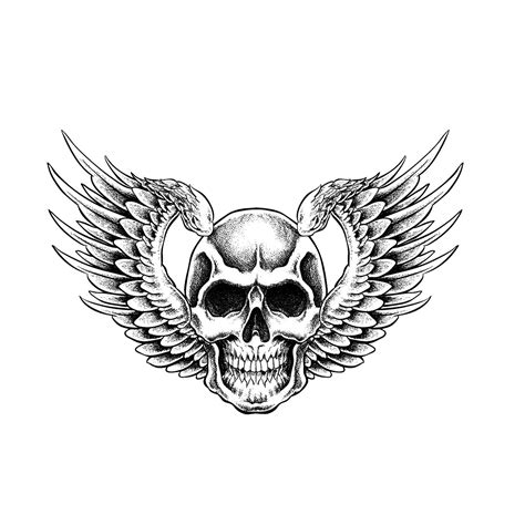 Symbolism Skull Human Drawing Free HD Image Transparent HQ PNG Download ...