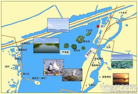 衡水湖景区 - 图片 - 艺龙旅游指南