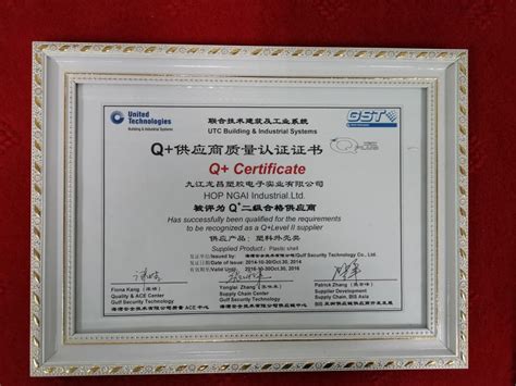 资质证书-九江龙昌塑胶电子实业有限公司