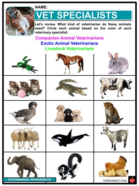 Veterinarian Facts, Worksheets, History, Types & Roles for Kids
