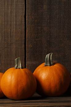 Iphone Xr Wallpaper Thanksgiving by Free Hd Thanksgiving Wallpaper Powerpoint E Iphone Xr Wallpaper Thanksgiving