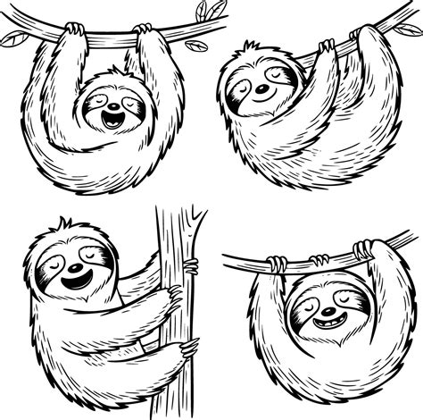 Bold black and white hand-drawn illustrations of 4 sloths doodling ...