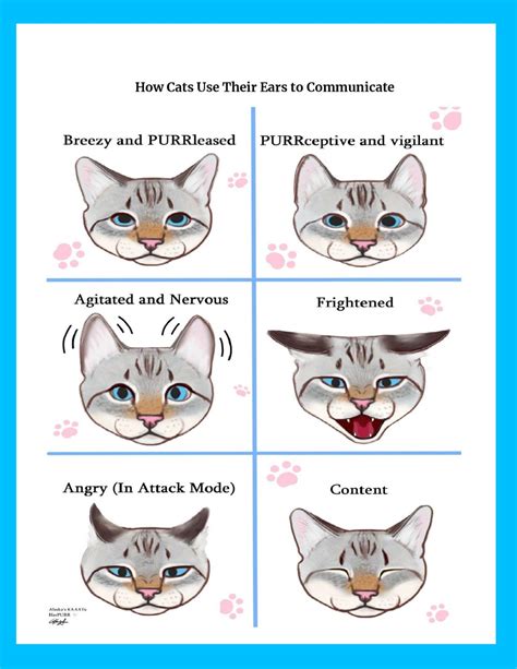 How Cats Use Their Ears to Communicate
