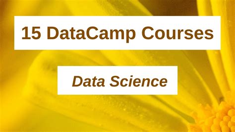 Data Science Course Freecodecamp 的图像结果
