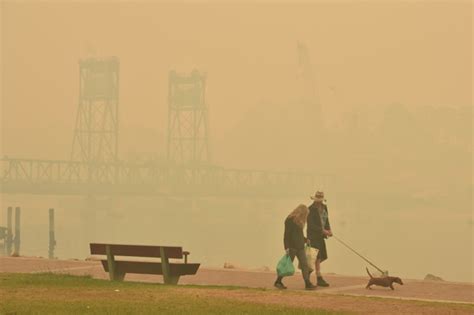 24 Heartbreaking Pics Of Australian Bushfires That Are So Devastating ...
